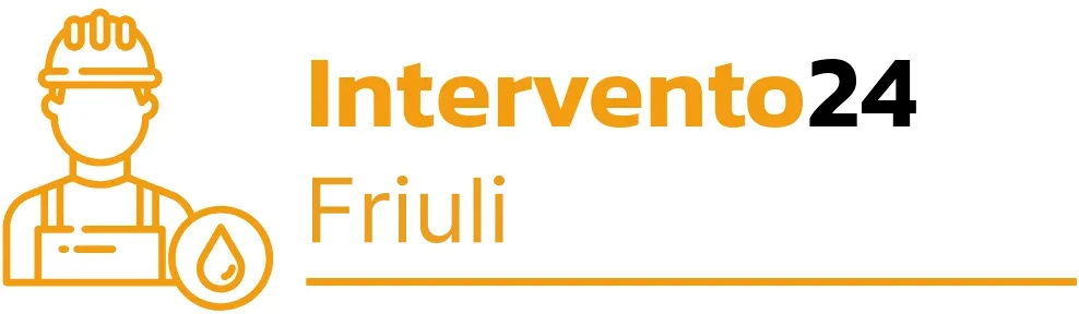 Intervento24-friuli